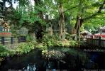 Narita Temple, Pond, Water, trees, garden