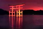 Miyajima, Torii Gate, Paintography, CAJV03P06_17
