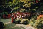 Miyamoshita, Footbridge, Taiko Arch Bridge, Gardens, 1950s, CAJV03P12_15.0635
