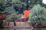 Gardens, Nara, Torii Gate, CAJV04P05_12