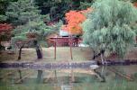 Gardens, Nara, Torii Gate, CAJV04P05_14