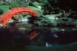 Taiko Arch Footbridge, Gardens, pond, garden, Landmark, CAJV04P12_09