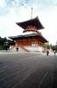 Narita Temple, CAJV05P02_10