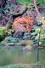 Gardens, Narita Temple, CAJV05P03_02