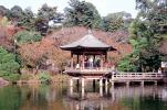 Gardens, Narita Temple, CAJV05P03_08