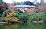 Gardens, Narita Temple, CAJV05P03_14