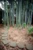 Bamboo Garden, near Narita, CAJV05P06_04
