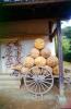 Wagon Wheel, Boso no Mura museum, Chiba Prefecture, CAJV05P07_13