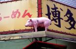 Pink Pig, Ginza, Tokyo, CAJV05P11_10