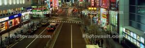 Street Scene, Tokyo Panorama