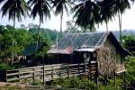 Coca-cola sign, signage, building, store, grass thatched hut, tin roof, Bukit Besi, 1950s, CAMV01P02_01.0630