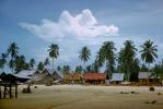 Village, Palm Trees, Beach, Clouds, near Lanjut, 1950s, CAMV01P02_04.0630