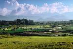 Kathmandu, Hay Mounds, fields, homes, houses, trees, mountains, CANV01P06_07.0630