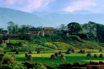 Hay Mounds, fields, homes, houses, trees, mountains, Kathmandu, CANV01P06_09.0630