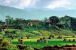 Kathmandu, Hay Mounds, fields, homes, houses, trees, mountains, CANV01P06_09B
