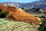 Rice Terrace, Hills, mountains, Kathmandu Valley, CANV01P15_17