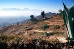 hills, mountains, haze, rice terrace, Nargkot, Kathmandu Valley, CANV01P15_18