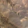 Destructive Earthquake near Bam, Iran, CAPD01_007