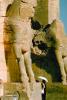 Persepolis, 1950s