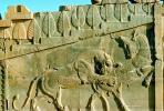 bar-Relief Lion tearing into an animal, Persepolis, 1950s