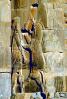 horse bar-Relief Sculpture, Persepolis, 1950s