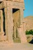 Persepolis, 1950s, CARV01P04_09.3340