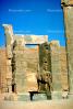 Horse bar-Relief Sculpture, Persepolis, 1950s, CARV01P04_12.0631