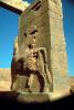 Horse bar-Relief Sculpture, Persepolis, 1950s