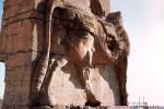 Horse bar-Relief Sculpture, Persepolis, 1950s, CARV01P04_14.3340