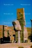 Horse Head Sculpture, Persepolis, 1950s, CARV01P04_19.0631