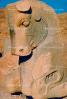 Horse Sculpture, Persepolis, 1950s, CARV01P05_02.0631