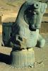 Horse Sculpture, Persepolis, 1950s, CARV01P05_03