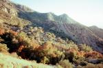 Mountains, Trees, Autumn, Baba Yadegar, Bakhtaran Province