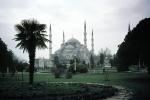 Mosque, Minaret, Palm Tree, Istanbul, CAUV01P01_14