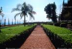 Gardens, path, palm tree, Baha'i Shrine and Gardens, Headquarters, Haifa, CAZV01P08_15.0633