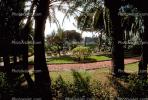 Gardens, path, palm tree, Baha'i Shrine and Gardens, Headquarters, Haifa