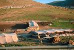 Bedouin Encampment near Jerusalem