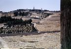 Mount of Olives, CAZV03P09_04