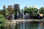 Trees, Water Fountain, aquatics, Lake, Park, Buenos Aires