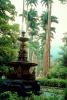 Water Fountain, aquatics, Palm Trees, Gardens, CBBV01P05_04.3342