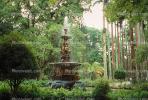 Water Fountain, aquatics, Palm Trees, Gardens