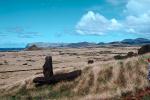 Easter Island, Statue, Moai, Face, Rock, Stone, Rapa Nui National Park, landmark, CBHV01P03_07.0635