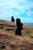 Easter Island, Statue, Moai, Face, Rock, Stone, Rapa Nui National Park, landmark, CBHV01P03_09.0635
