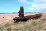 Easter Island, Statue, Moai, Face, Rock, Stone, Rapa Nui National Park, landmark, CBHV01P03_19.1510