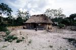 Grass thatched hut, home, house, Cozumel, Quintana Roo, Sod