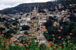 cityscape, flowers, Cathedral, hills, buildings, Taxco