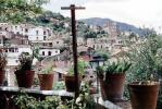 cityscape, flowers, homes, houses, hillside, hills, buildings, Taxco, CBMV05P03_12