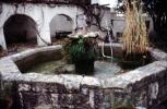 Goldfish Pond, Water Fountain, aquatics, Reynosa, Tamaulipas, CBMV06P01_01