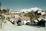 Homes on a hill, houses, buildings, cars, palm tree, 1950s