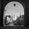 Arch, Wrought Iron Gate, CBPPCD1185_059
